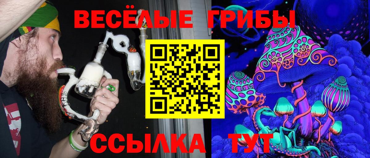 Псилоцибиновые грибы мицелий Междуреченск