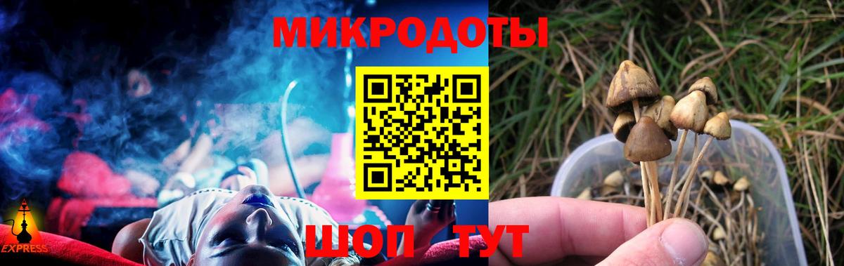 Галлюциногенные грибы Cubensis  Вход с VPN  Междуреченск  Псилоцибиновые грибы мицелий 