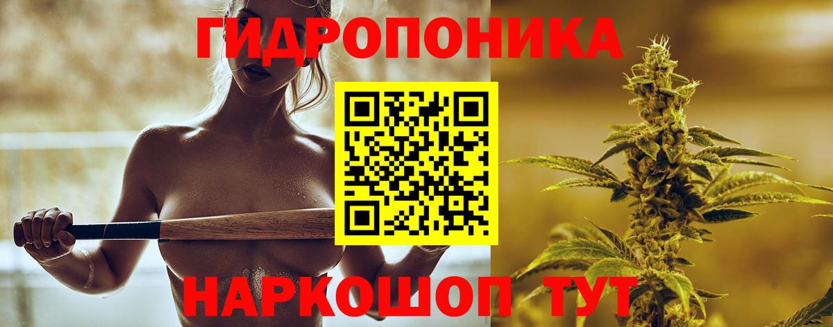 Конопля White Widow Междуреченск